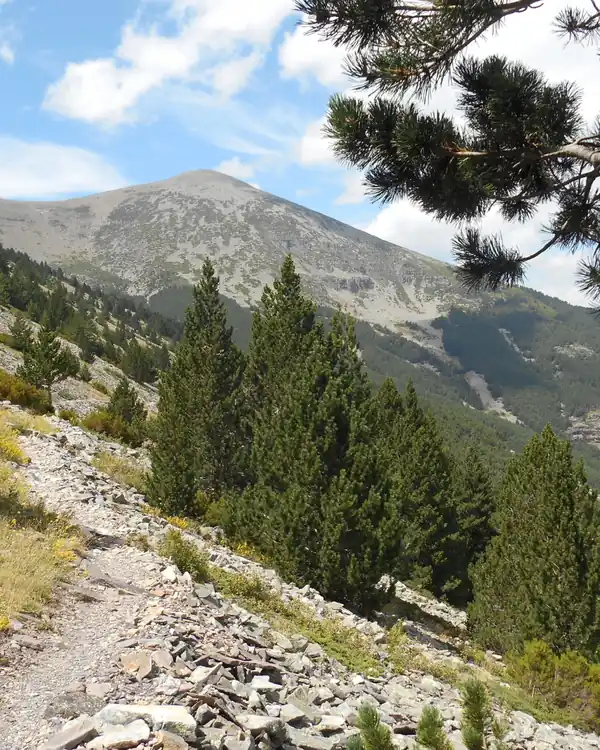 Sendero del GR-90 en el Parque Natural del Moncayo