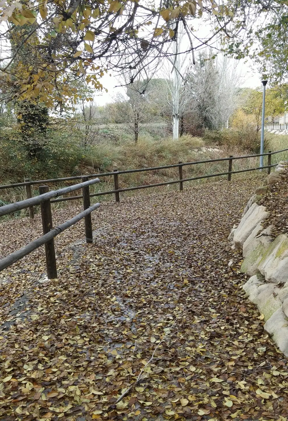 Imagen de «Fréscano»