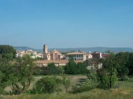 Imagen de «Ainzón»
