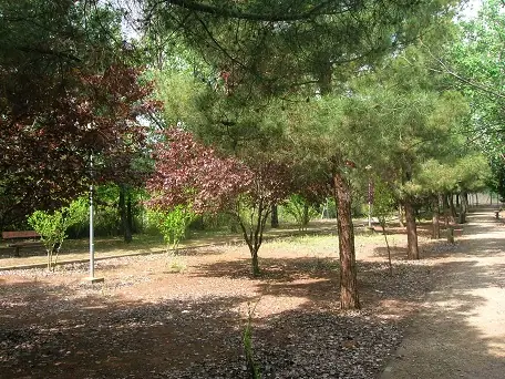 Imagen de «Pozuelo de Aragón»