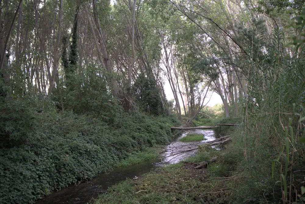 LA HUECHA
