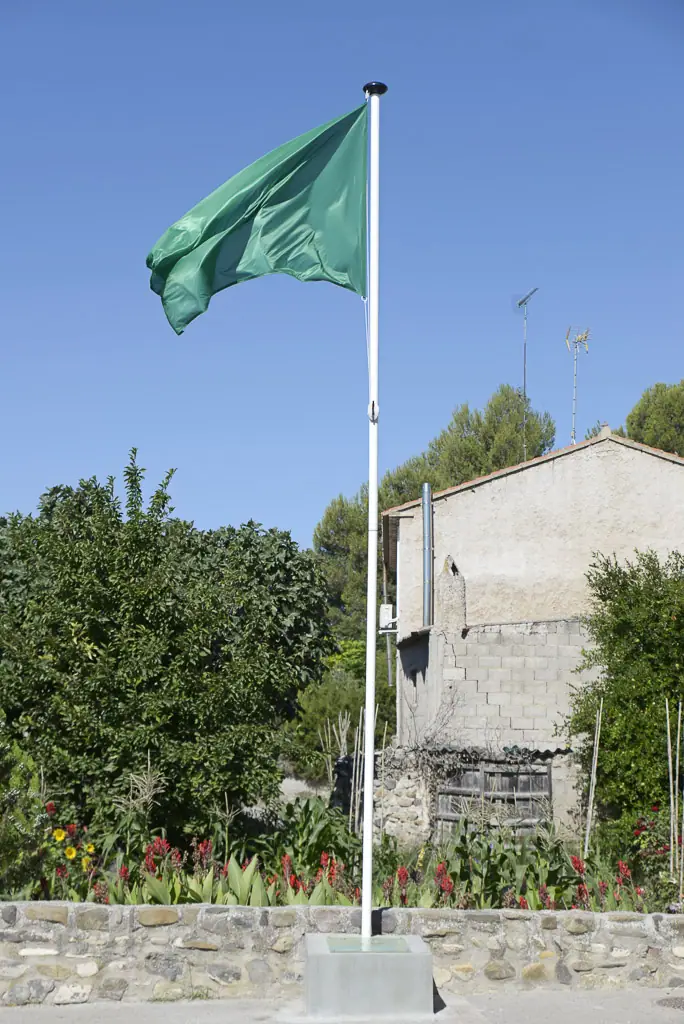 BANDERA VERDE. ALBETA
