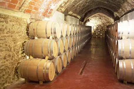 Imagen de «BODEGAS BORDEJÉ»