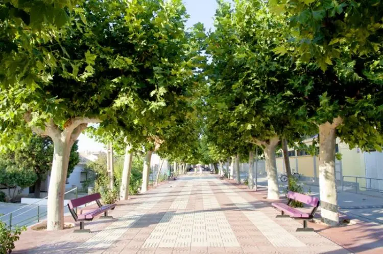 Imagen de «Mallén»
