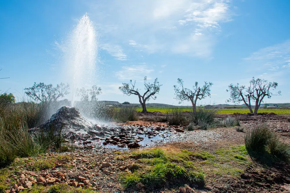 Imagen de «Pozuelo de Aragón»
