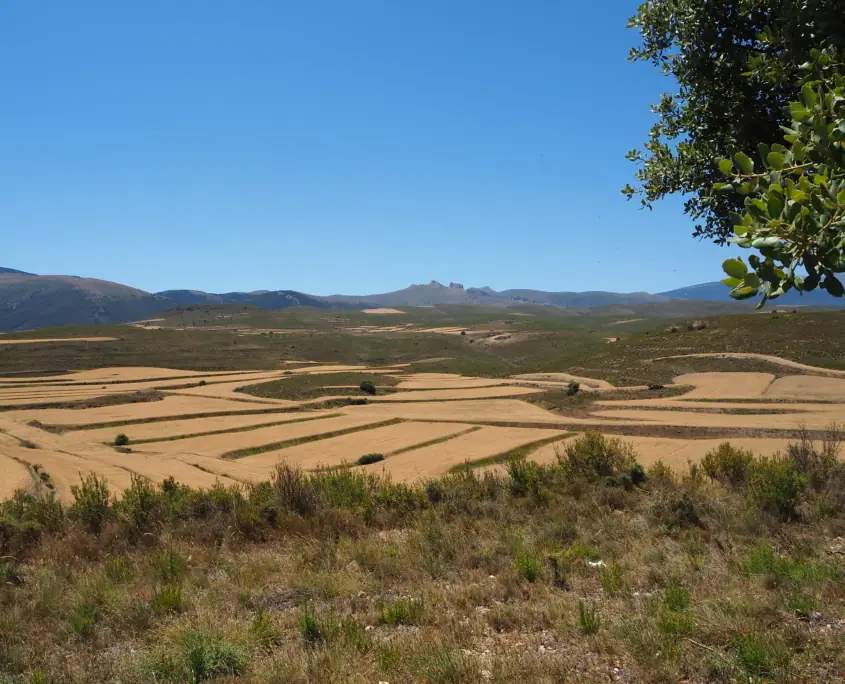 Imagen de «Rutas Temáticas por la Comarca Campo de Borja»