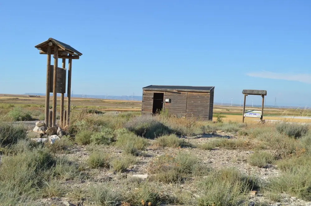 Imagen de «Monte Alto y Siete Cabezos»