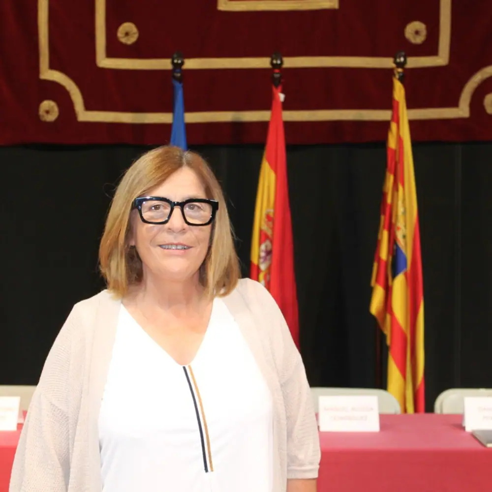 Imagen de «La institución comarcal»