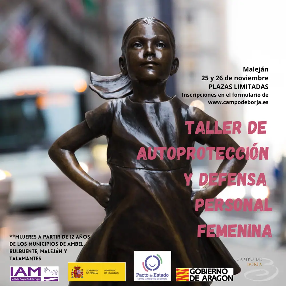 Imagen de «Taller de Autoprotección y Defensa personal Femenina – Maleján»