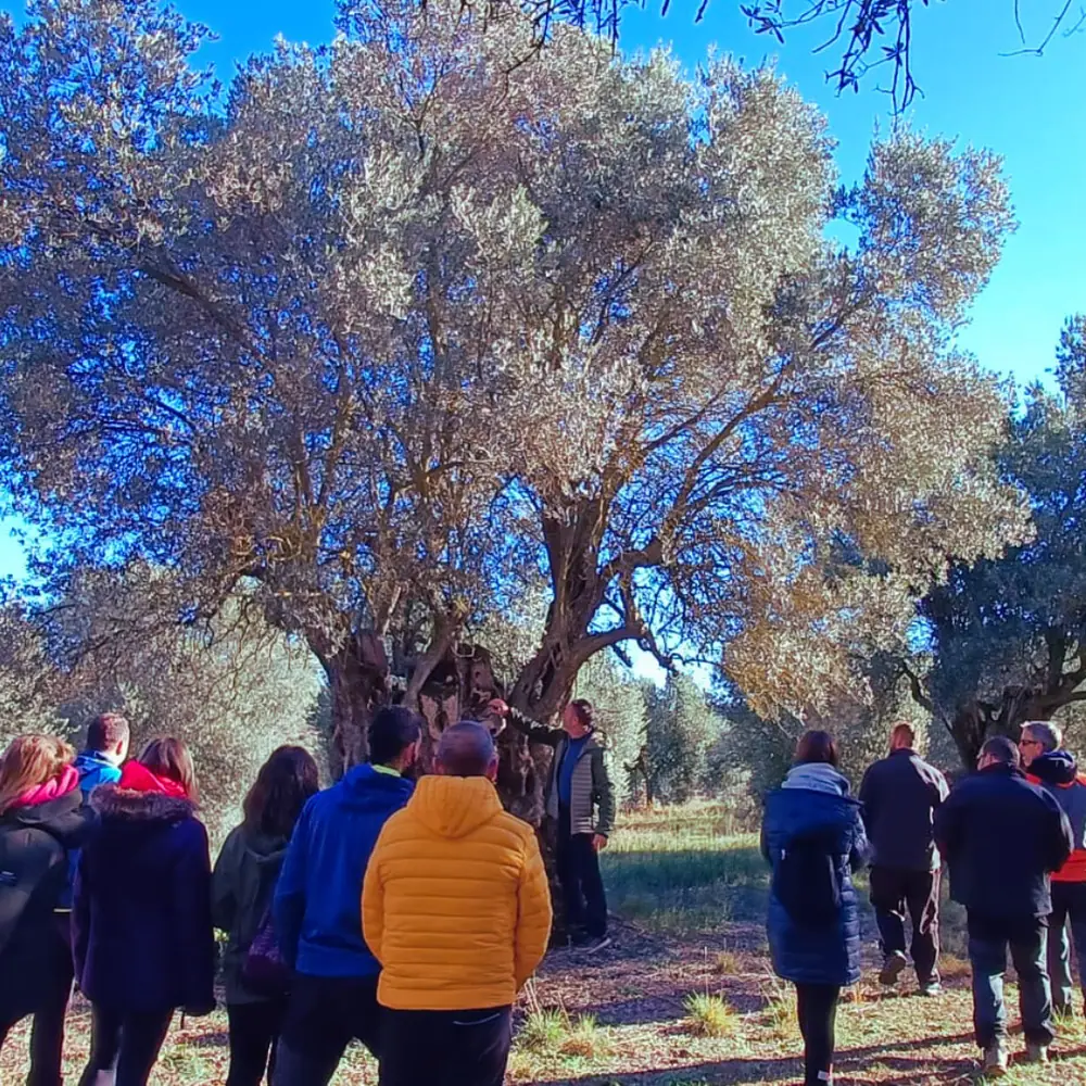 Imagen de «Fotos: DÍA DEL ORGULLO RURAL 2023»