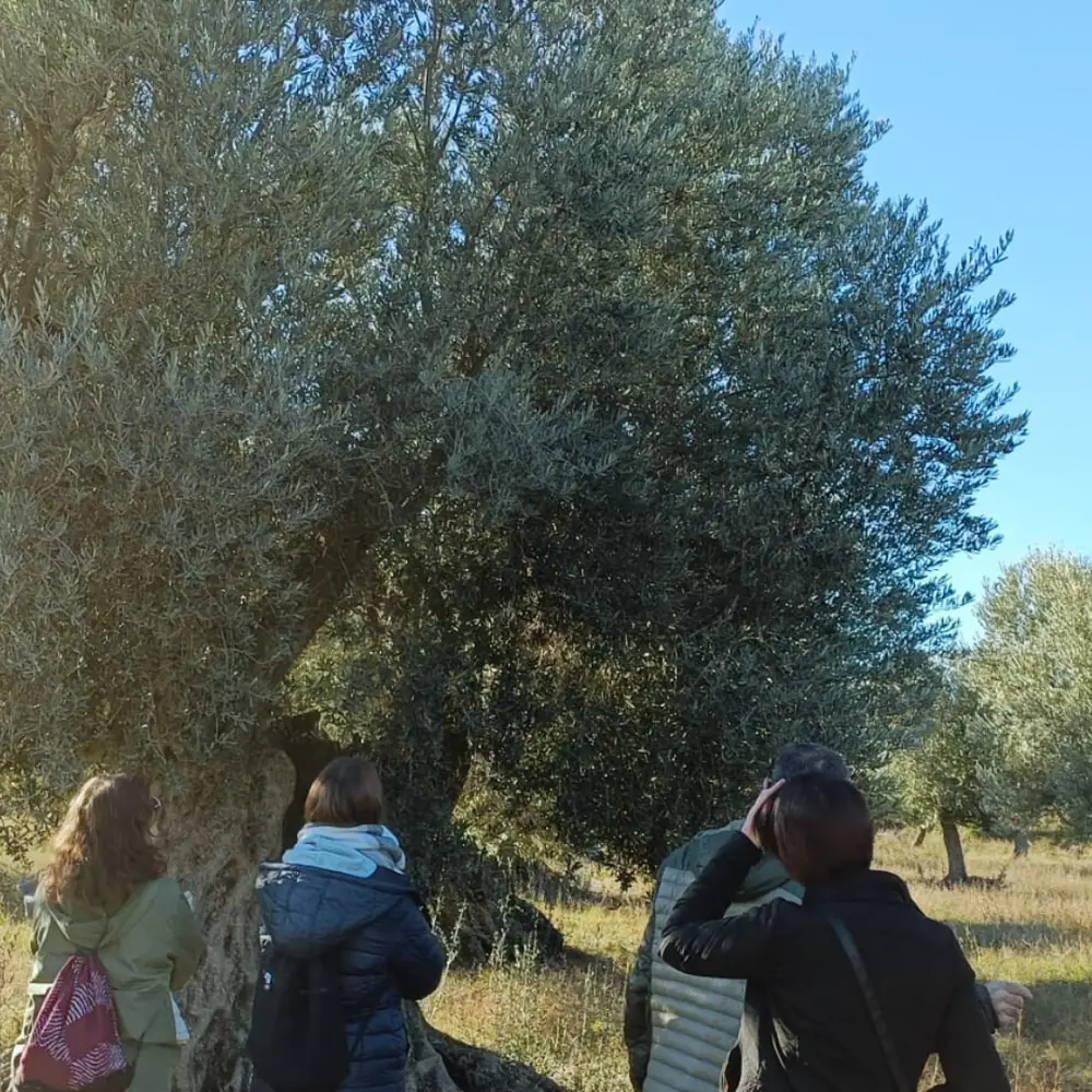Imagen de «Fotos: DÍA DEL ORGULLO RURAL 2023»