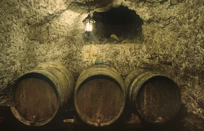 Imagen de «Bodegas en cerro en Fuendejalón»