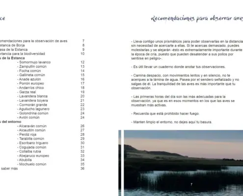 Imagen de «Ornitología»